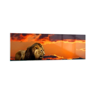 Billede på glas Arttor 160x50 cm - Naturens konge - Løve, Solnedgangen, Dyr, Landskab, Afrika, Til stuen, Til soveværelset, Orange, Brun, Vandret, Glas, GAB160x50-0230