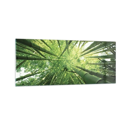 Billede på glas - I en bambuslund - 100x40 cm