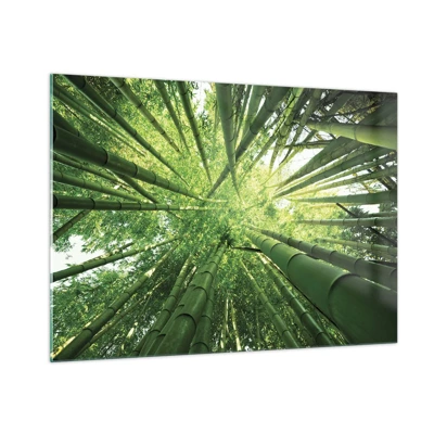 Billede på glas - I en bambuslund - 100x70 cm