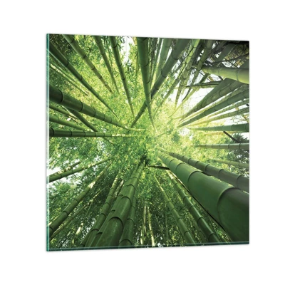 Billede på glas - I en bambuslund - 60x60 cm