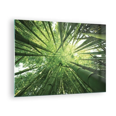 Billede på glas - I en bambuslund - 70x50 cm