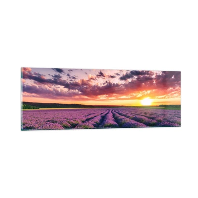 Billede på glas - Lavendelverden - 90x30 cm