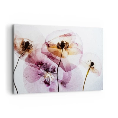 Billede på lærred - Blomsterlegeme dias - 120x80 cm