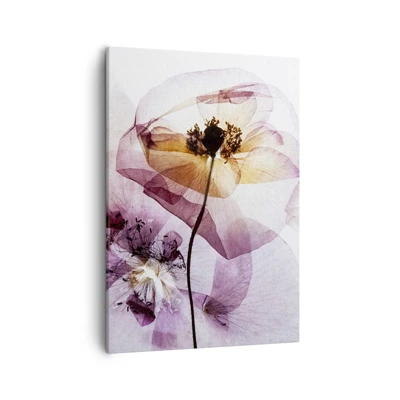 Billede på lærred - Blomsterlegeme dias - 50x70 cm