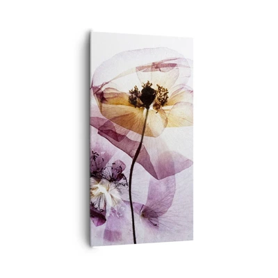 Billede på lærred - Blomsterlegeme dias - 65x120 cm