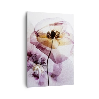 Billede på lærred - Blomsterlegeme dias - 70x100 cm
