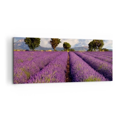 Lærredstryk - Billede på lærred - Enge med lavendel - 120x50 cm