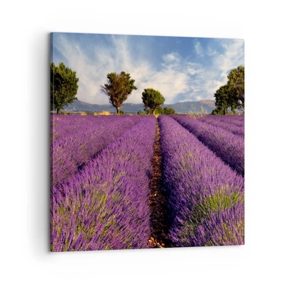 Lærredstryk - Billede på lærred - Enge med lavendel - 60x60 cm