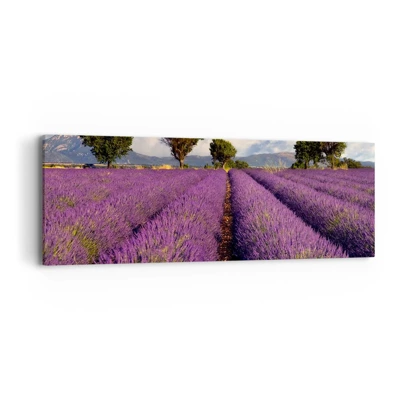 Lærredstryk - Billede på lærred - Enge med lavendel - 90x30 cm