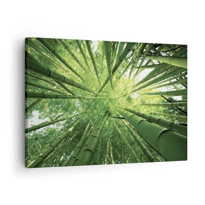 Lærredstryk - Billede på lærred - I en bambuslund - 70x50 cm