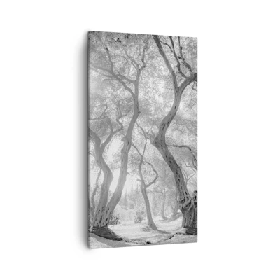 Lærredstryk - Billede på lærred - I en olivenlund - 45x80 cm