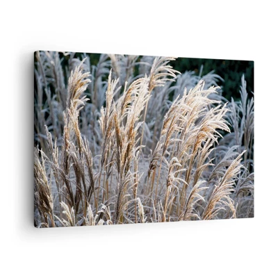 Lærredstryk - Billede på lærred - Pyntet med frost - 70x50 cm