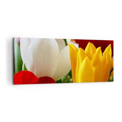 Lærredstryk - Billede på lærred - Tulipanfeber - 100x40 cm