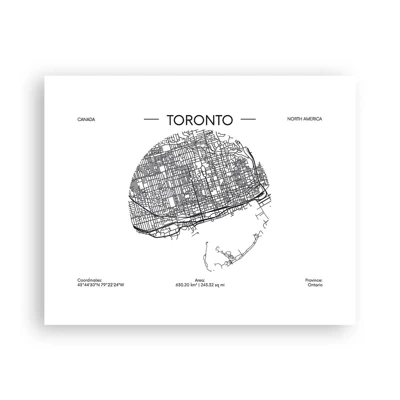 Plakat - Anatomi af Toronto - 50x40 cm