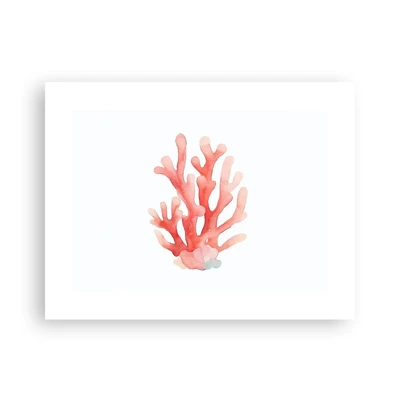Plakat - Farven koral - 40x30 cm