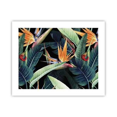 Plakat - Flammeblomster i troperne - 50x40 cm