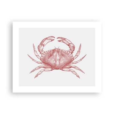 Plakat - Krabbe over krabber - 50x40 cm