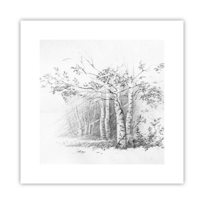 Plakat - Lyset fra birkeskoven - 30x30 cm