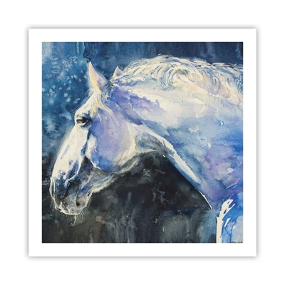 Plakat - Portræt i et blåt skær - 60x60 cm