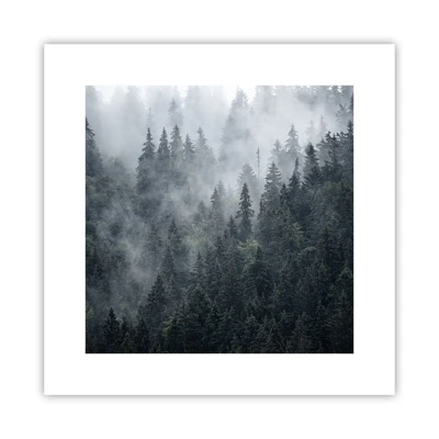 Plakat - Skovens daggry - 30x30 cm