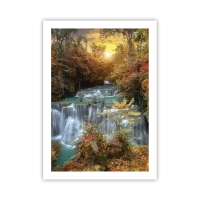 Plakat - Skovens skjulte skat - 50x70 cm