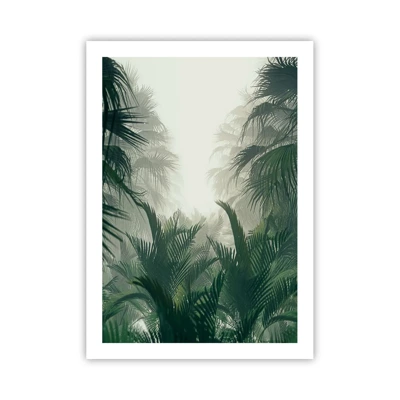 Plakat - Tropisk mysterium - 50x70 cm