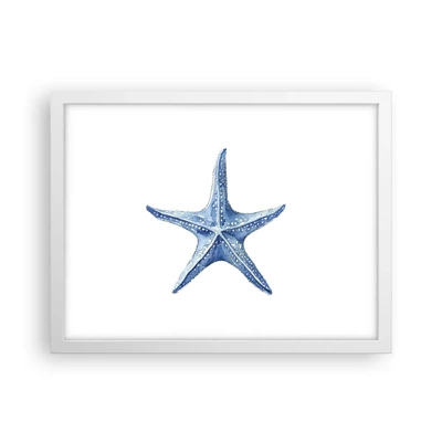 Plakat i hvid ramme - Havets stjerne - 40x30 cm