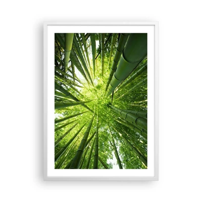Plakat i hvid ramme - I en bambuslund - 50x70 cm