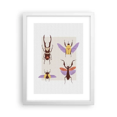 Plakat i hvid ramme - Insekternes verden - 30x40 cm