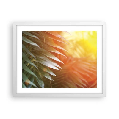 Plakat i hvid ramme - Morgen i junglen - 50x40 cm