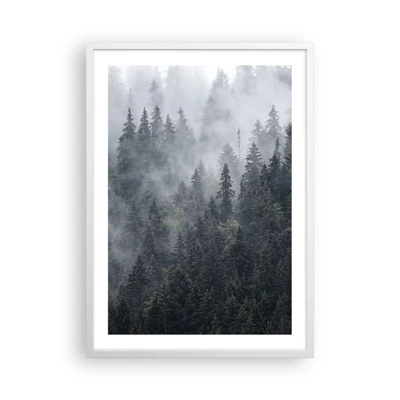 Plakat i hvid ramme - Skovens daggry - 50x70 cm
