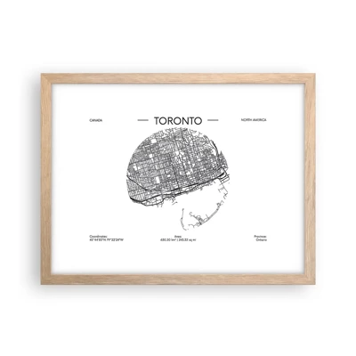 Plakat i ramme af lyst egetræ - Anatomi af Toronto - 40x30 cm