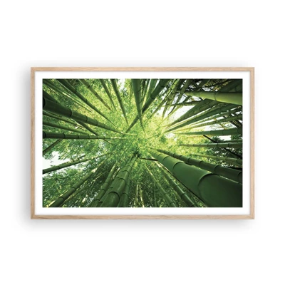 Plakat i ramme af lyst egetræ - I en bambuslund - 91x61 cm