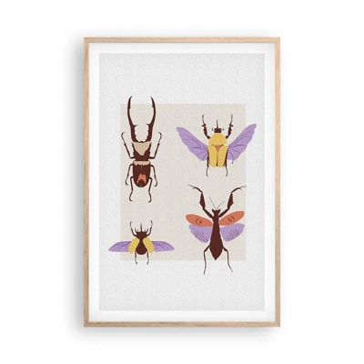 Plakat i ramme af lyst egetræ - Insekternes verden - 61x91 cm