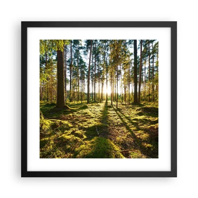 Plakat i sort ramme - ...Bag de syv skove - 40x40 cm