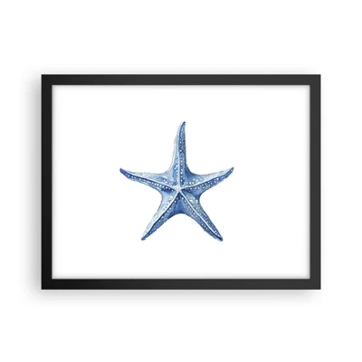 Plakat i sort ramme - Havets stjerne - 40x30 cm