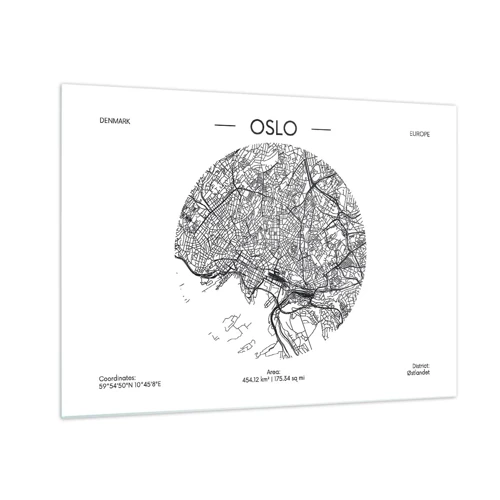 Billede på glas - Anatomi af Oslo - 70x50 cm