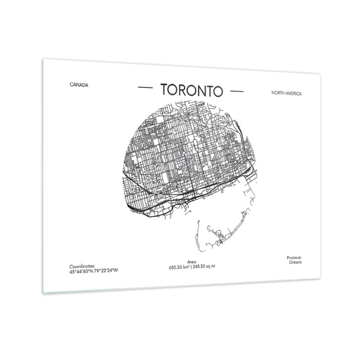 Billede på glas - Anatomi af Toronto - 70x50 cm