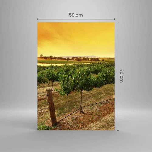 Billede på glas - Drik solen - 50x70 cm