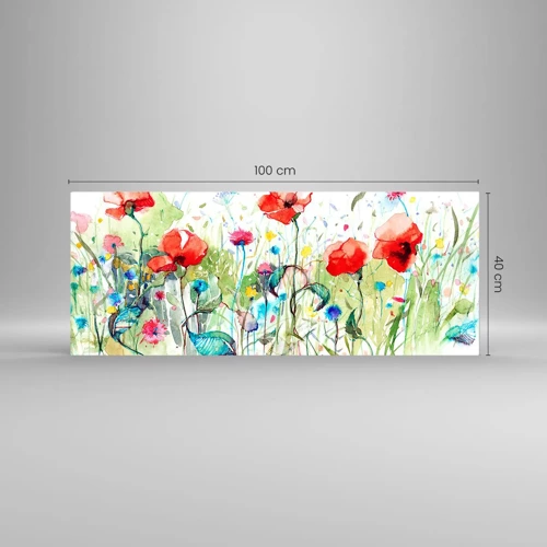 Billede på glas - En blomstrende eng i maj - 100x40 cm