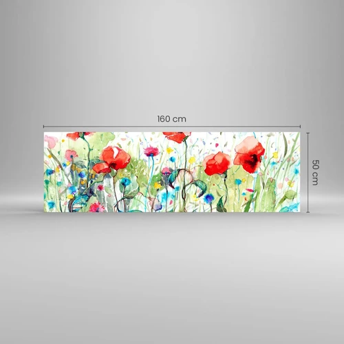 Billede på glas - En blomstrende eng i maj - 160x50 cm