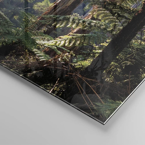 Billede på glas - En fortælling om skoven - 160x50 cm