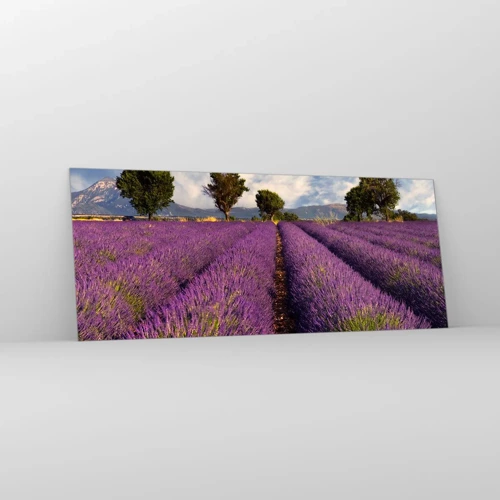 Billede på glas - Enge med lavendel - 100x40 cm