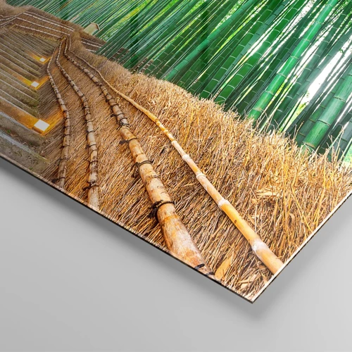 Billede på glas - Essensen af den asiatiske natur - 100x40 cm