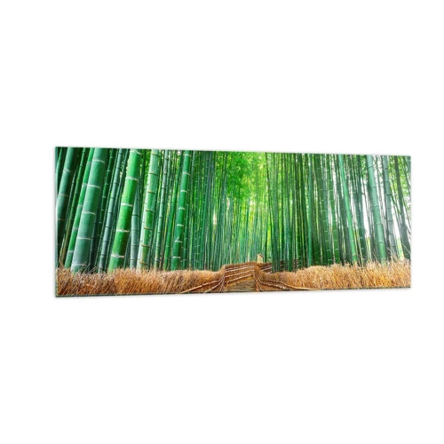 Billede på glas - Essensen af den asiatiske natur - 140x50 cm