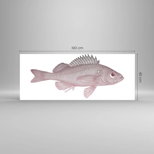 Billede på glas - Fisk med store øjne - 100x40 cm