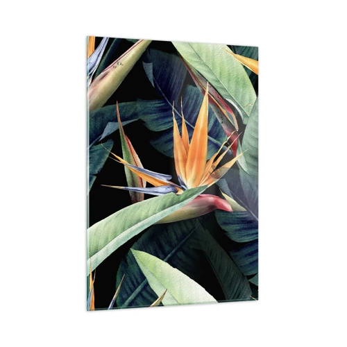 Billede på glas - Flammeblomster i troperne - 50x70 cm