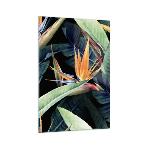 Billede på glas - Flammeblomster i troperne - 70x100 cm