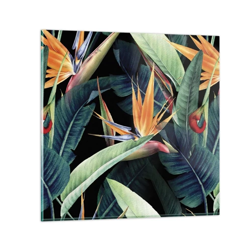 Billede på glas - Flammeblomster i troperne - 70x70 cm