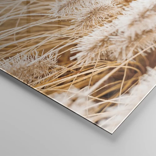Billede på glas - Gyldent susen af græsser - 140x50 cm